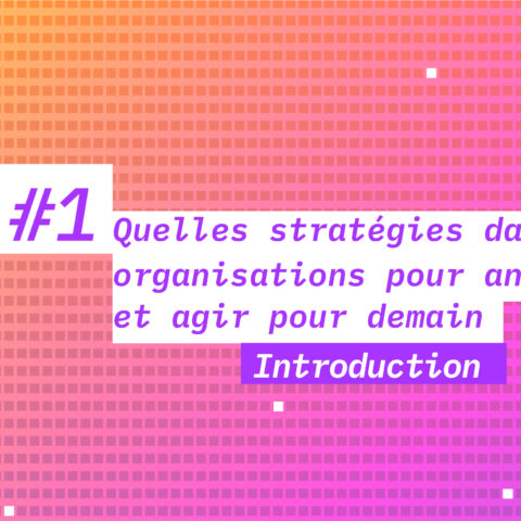AnticipAction - Introduction - Quelles stratégies dans les organisations pour anticiper et agir pour demain