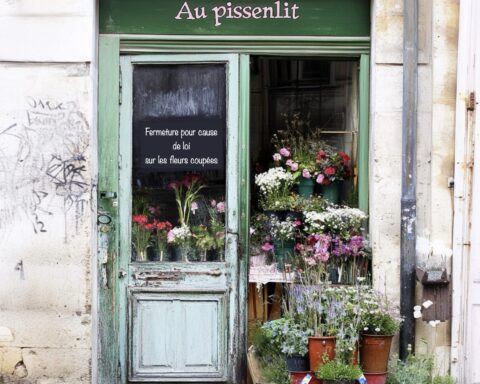 La fleuriste " Au pissenlit " ferme ses portes. On voit sur la porte écrit en français : " Fermeture pour cause de loi sur les fleurs coupées."