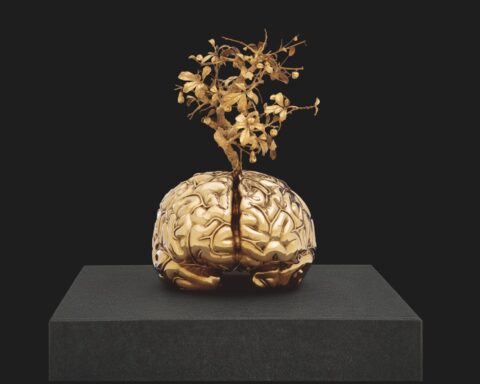 « Cerveau avec arbre miniature » Sculpture en bronze de Jan Fabre