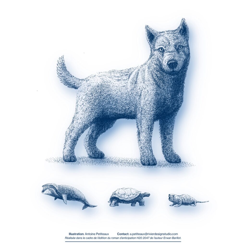7. Chiba Choju