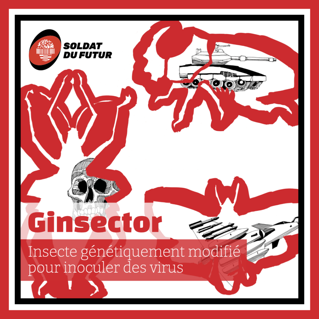 013_ginsector
